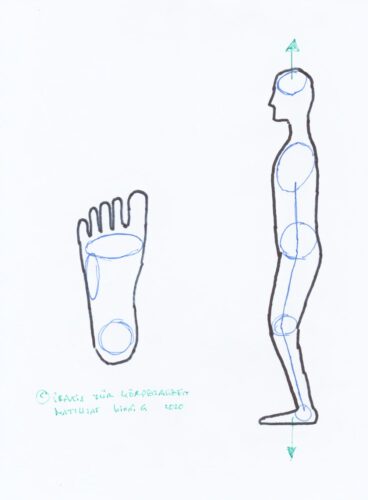 Standing Posture